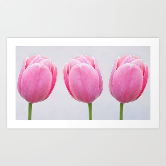 tulipes 3 Art Print