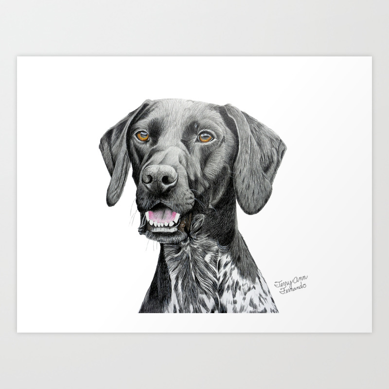 German Shorthaired Pointer Drawing Art Print by On Point Design | Society6
