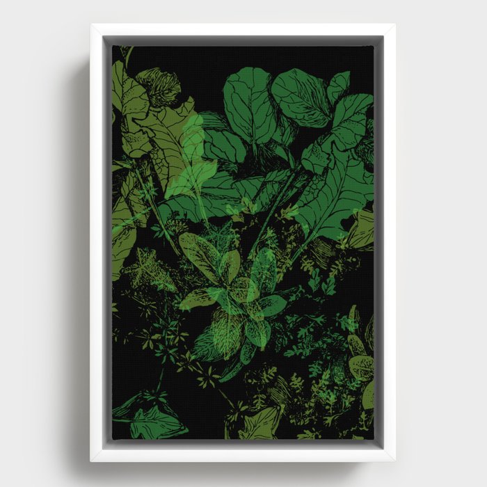 Framed Canvas