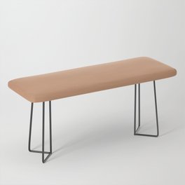 Soft Mid-tone Brown Solid Color Hue Shade - Patternless Bench