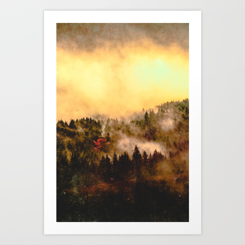 Into The Forest Iii Pacific Northwest Nature Abstract Art Print