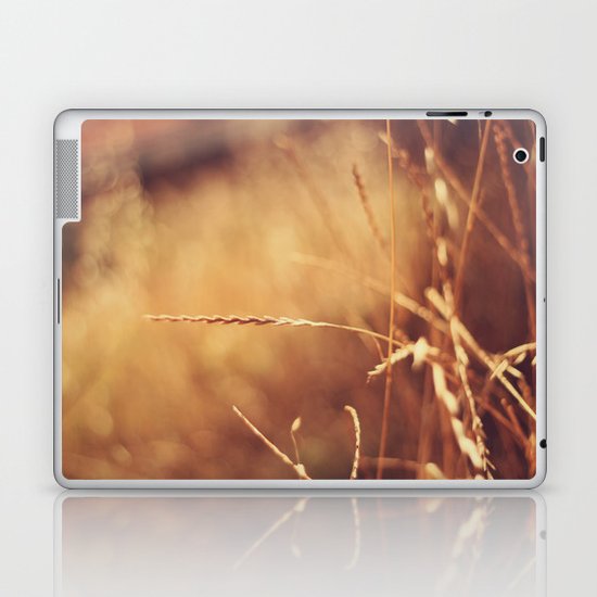 Golden Laptop & iPad Skin
