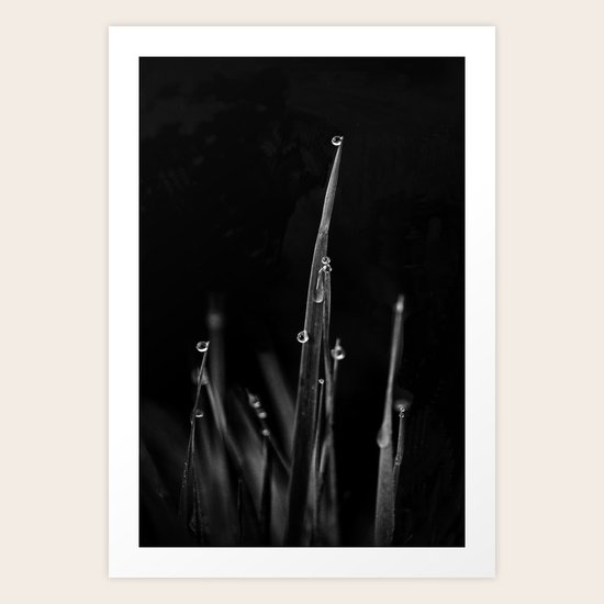Black Grass Art Print