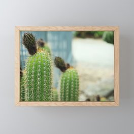 Cactus Framed Mini Art Print