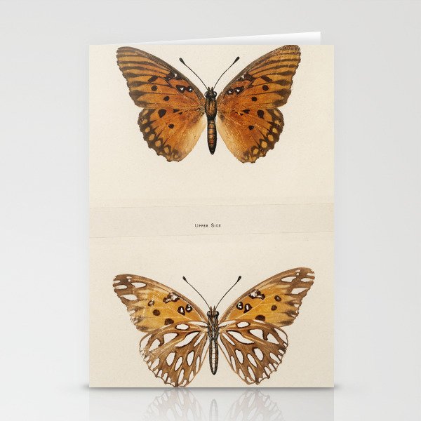 Moths and Butterflies Stationery Cards