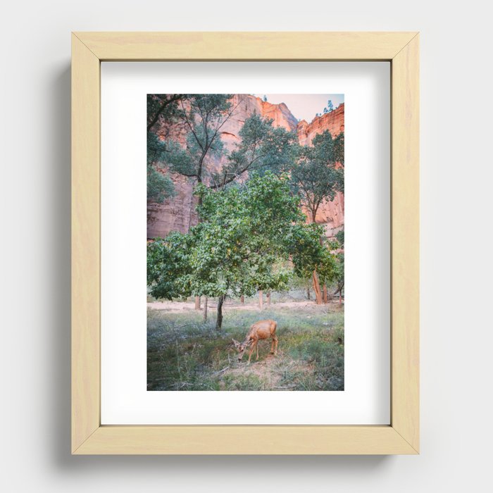 Deer grazing in Zion National Park Recessed Framed Print