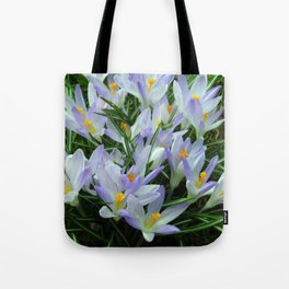 Lavender Crocus Tote Bag