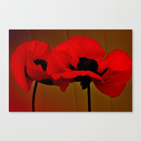 POPPIES Canvas Print