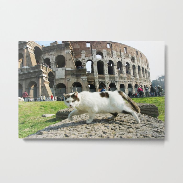 The Cat of the Colosseum Metal Print