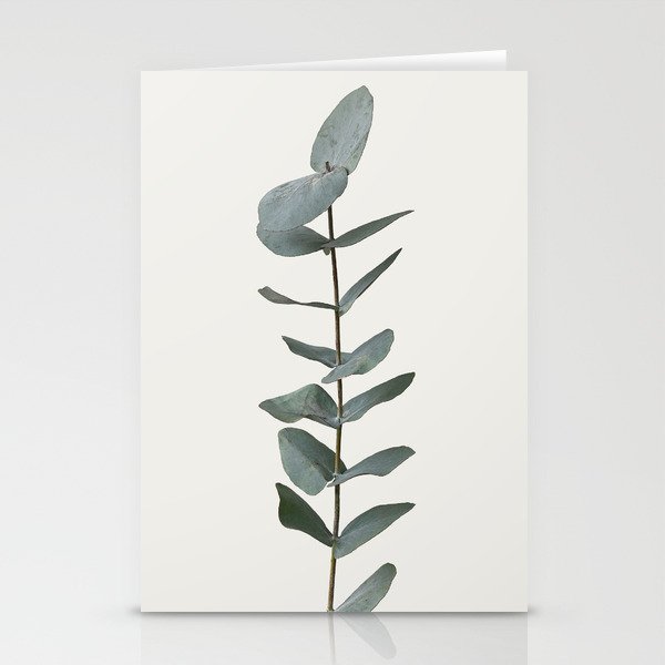 Simple Eucalyptus Stationery Cards