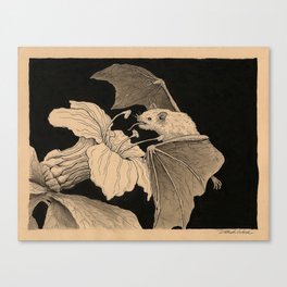 Leaf Nosed Bat Canvas Print