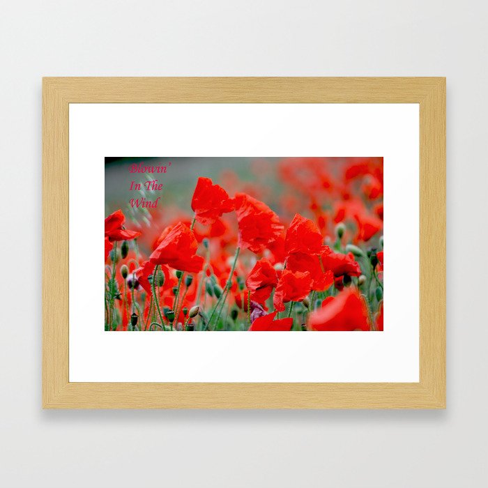 Poppies - Blowin' In The Wind Framed Art Print