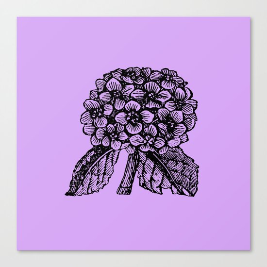 Lavender Hydrangea Canvas Print
