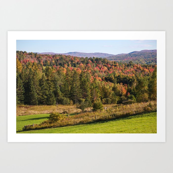 Fall into Vermont Leaves Art Print
