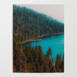 Pine tree and lake view at Emerald Bay Lake Tahoe California USA Poster
