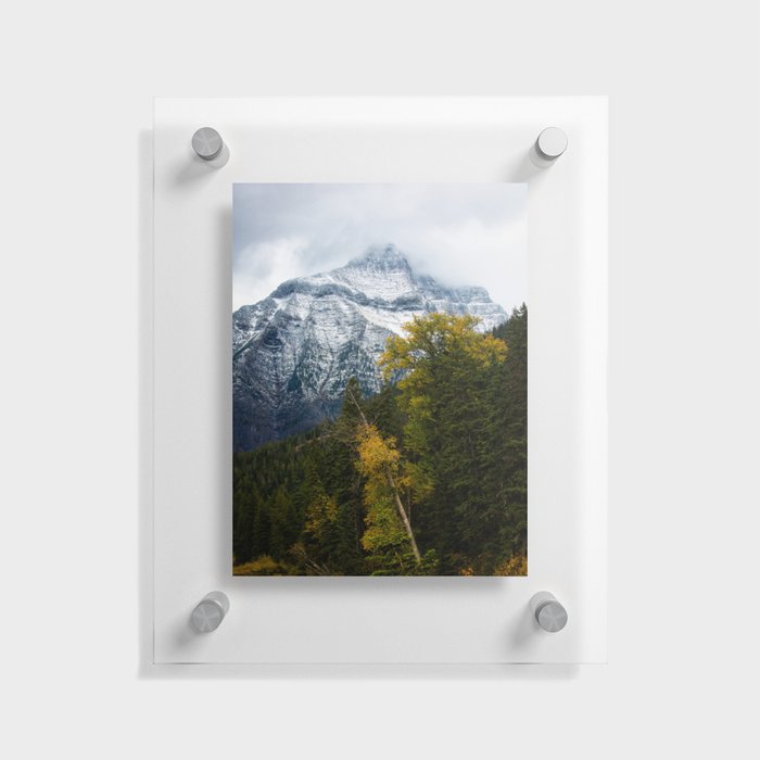 Transitions - Snowy Mountain Peak Overlooking Trees with Fall Color on Autumn Day in Glacier National Park Montana Floating Acrylic Print