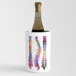 Spine Art Watercolor Art Anatomy Medical Gift Anatomical Decor Chiropractor Gift Wine Chiller