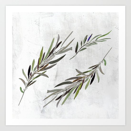 Eucalyptus Leaves White Art Print