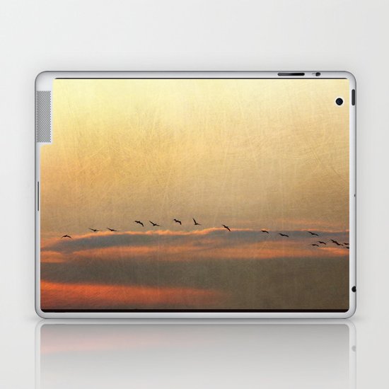Sunset Flight Laptop & iPad Skin