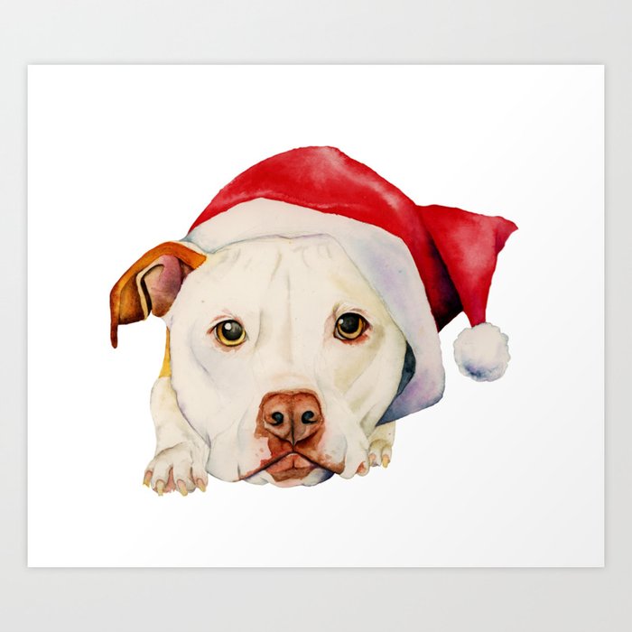 society6