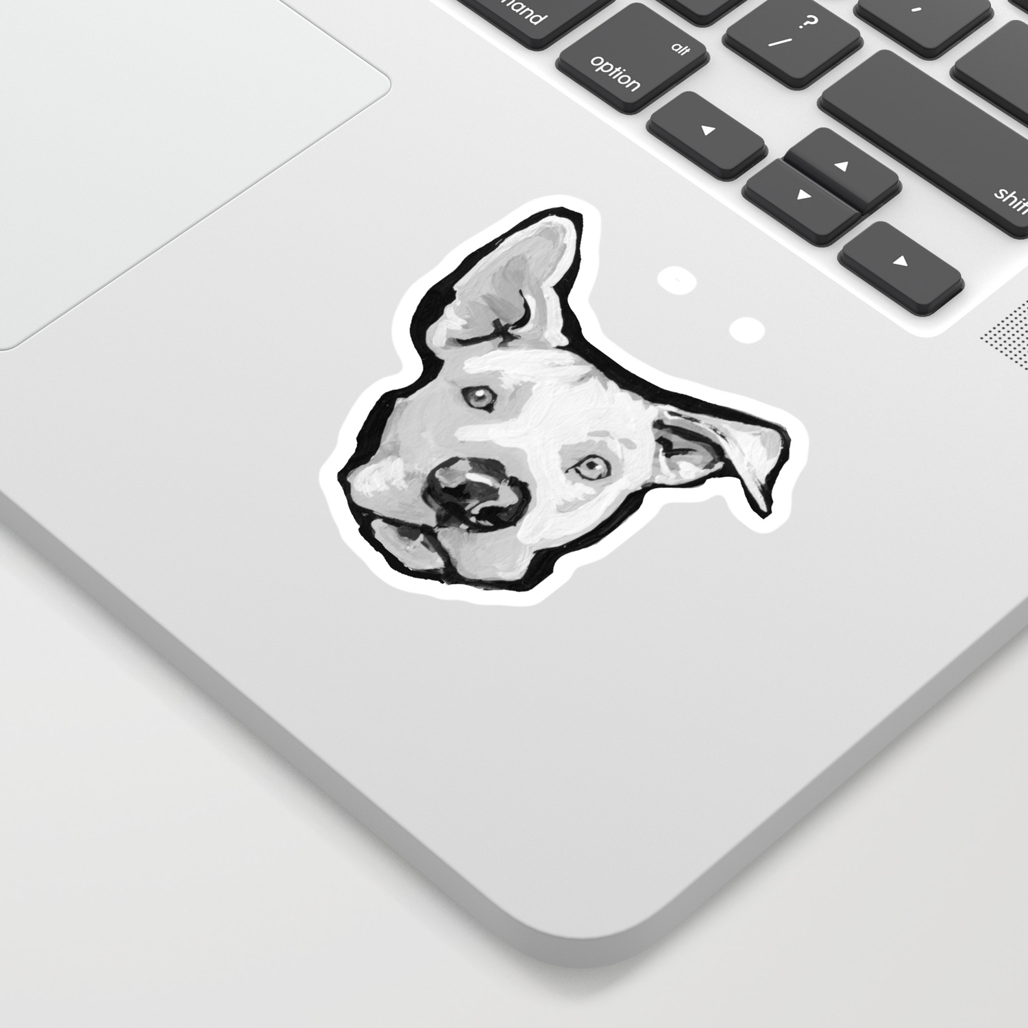 society6