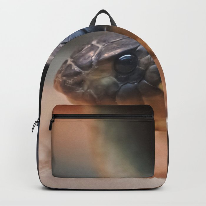 chilling Backpack
