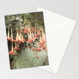hanging flowers Stationery Cards