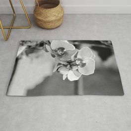 Orchid Growing Near A Buddhist Temple Black And White Area & Throw Rug