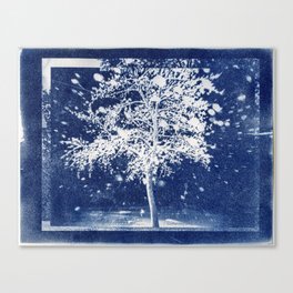 Flattened Image of Fallen Tree Canvas Print