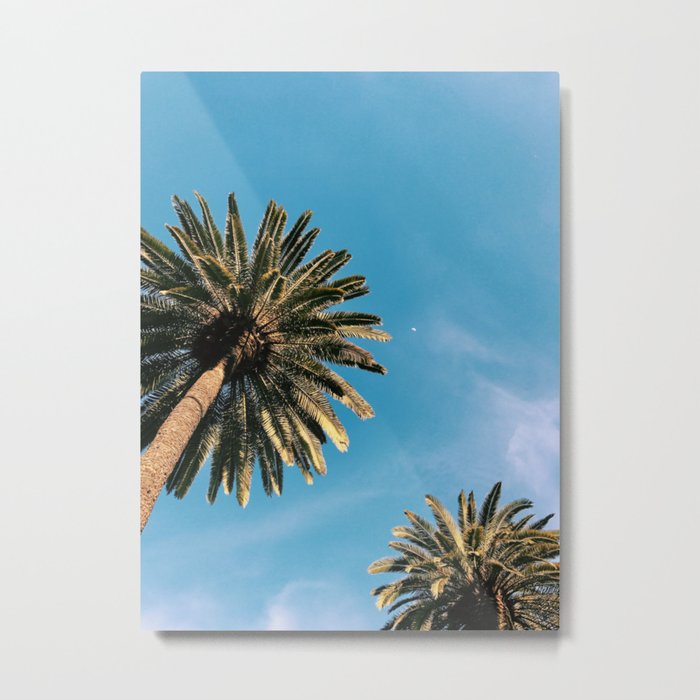 Palm Tree Portrait Metal Print