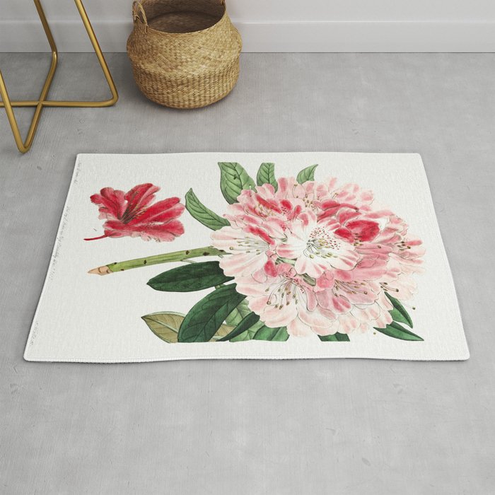 The lovely rhododendron from Edwardss Botanical Register (18291847) by