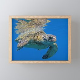 Green Sea Turtle Framed Mini Art Print