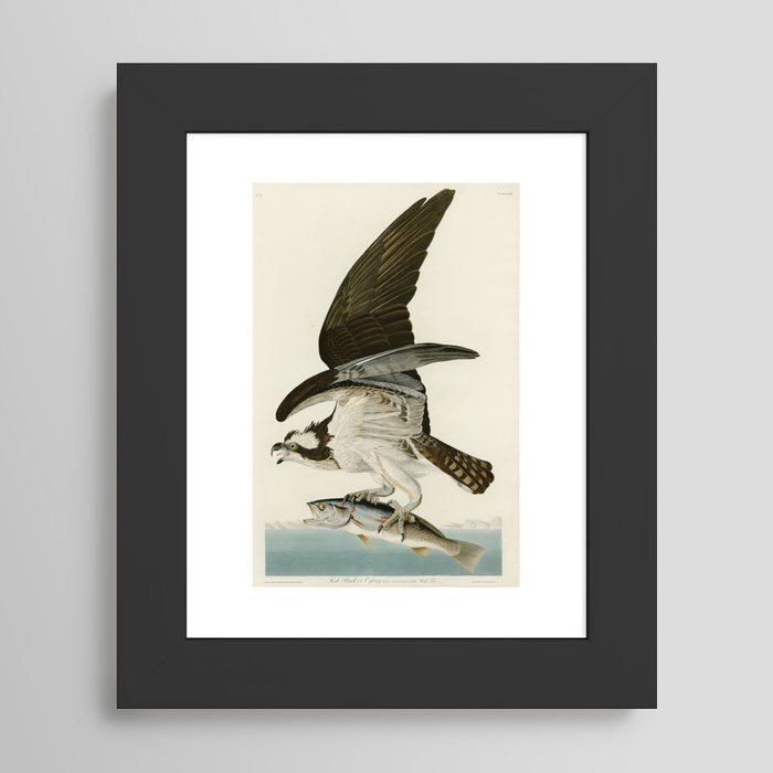 Framed Art Print