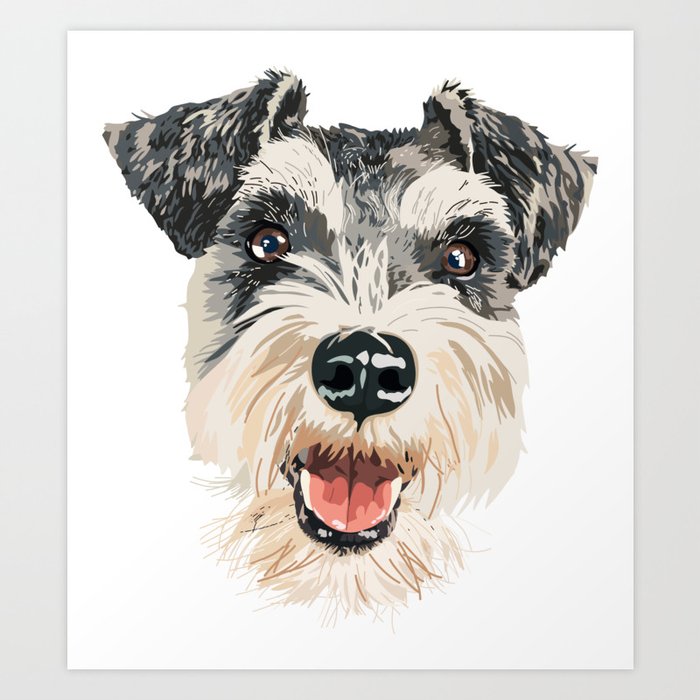 Smiling Schnauzer  Art Print