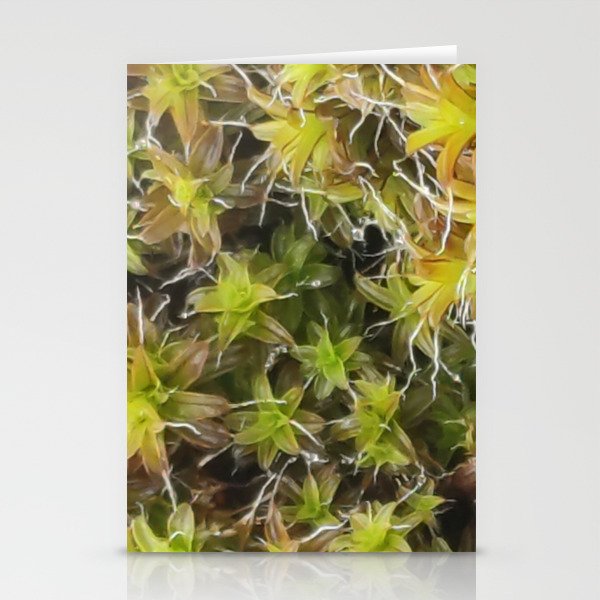 Moss close up Stationery Cards