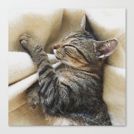 It's A Cat's Life Canvas Print