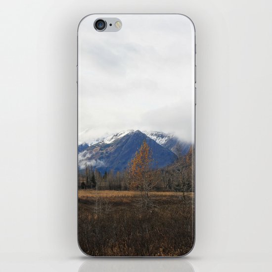 Turnagain Pass iPhone & iPod Skin