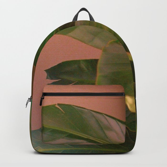 Passionz Backpack