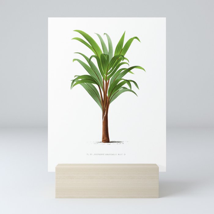 Palm tree Mini Art Print