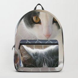 A Max And Mantle Bi Colour Cat Backpack | Photo, Animal 