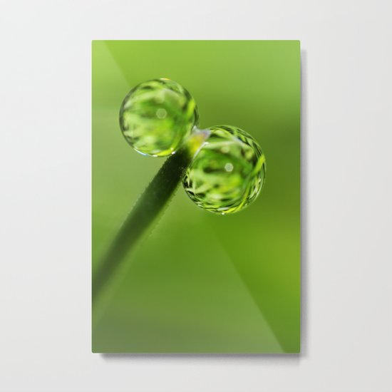 Grass Green Dew Drops Metal Print