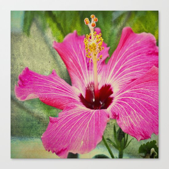 Flower Canvas Print