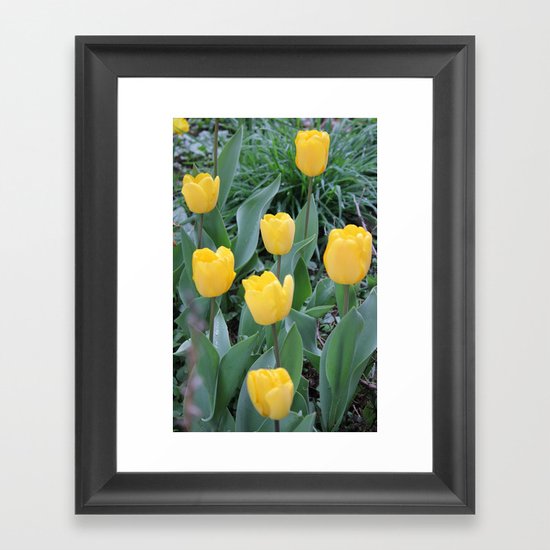 Appledorn Tulips Framed Art Print