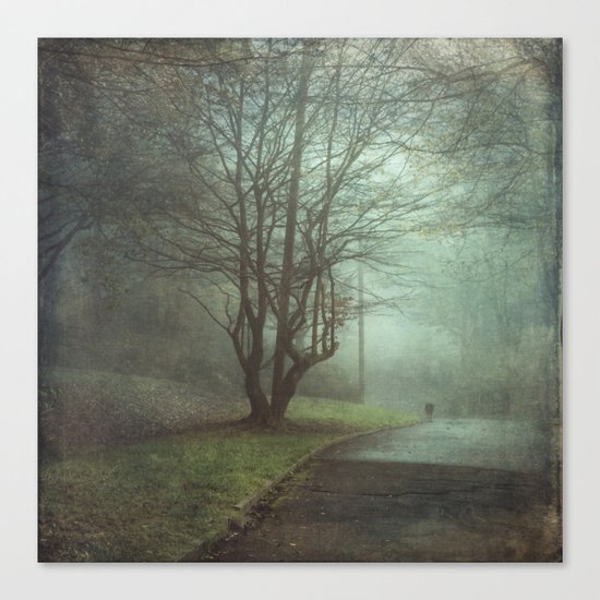 stEEl daWn Canvas Print
