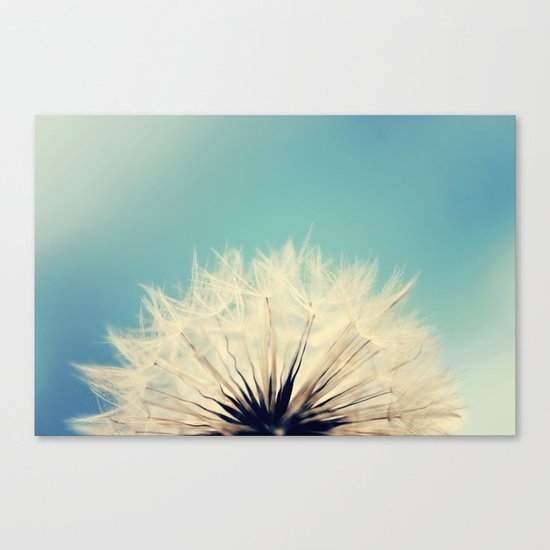 She's a Firecracker Canvas Print