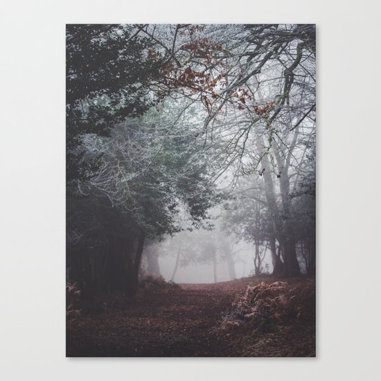 Frosty path Canvas Print