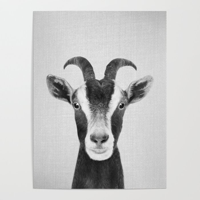 Goat - Black & White Poster
