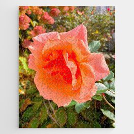 Peach Rose in Bloom - Photography Art Jigsaw Puzzle