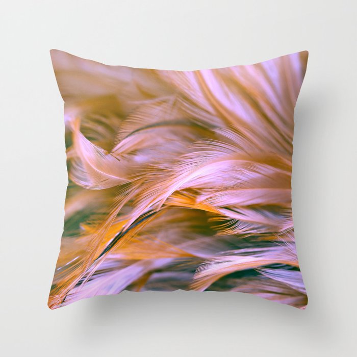 Beautiful Bird And Chicken Feather Texture Abstract Background