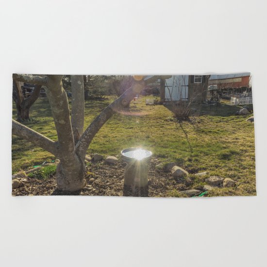 Birdbath Reflections Beach Towel